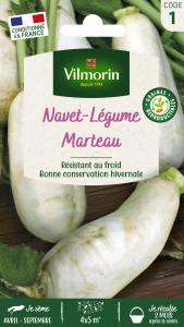Navet-Légume des Vertus Marteau